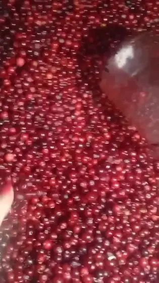 Клюква томская, 10 л