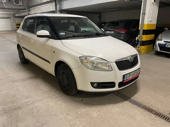 Аренда Skoda Fabia, 2008
