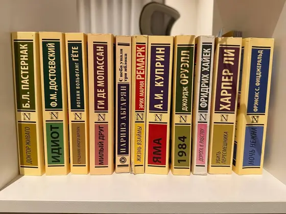 Книги на русском языке, 15 штук
