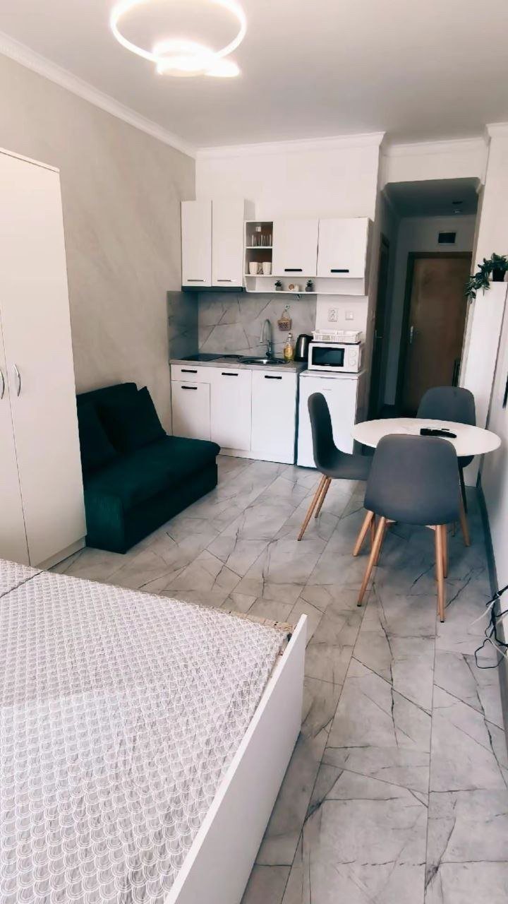 Меблированная студия с кухней