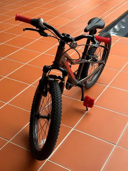 Trek Precaliber 20, детский велосипед