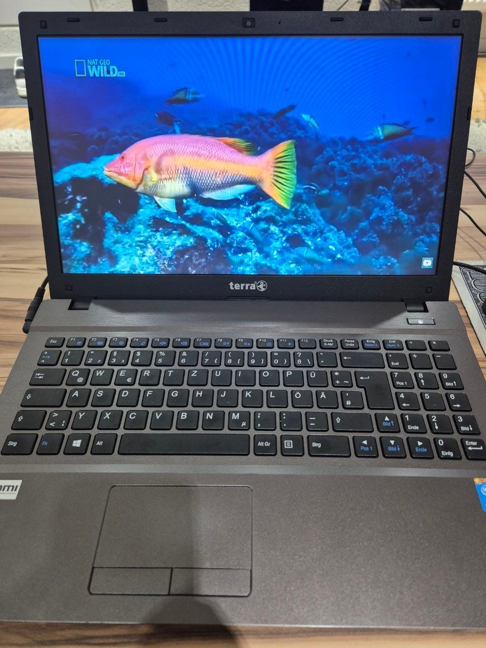 Terra Mobile 1529H, Core i5, 8 ГБ