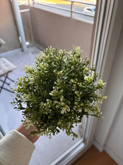Искусственное растение с кашпо
